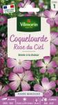 Fleurs - Coquelourde Rose du Ciel - face recto